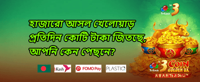 স্লট গেমের বিশেষ ফ্রি স্পিন promotion banner